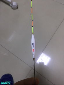 京钓网 北京钓鱼爱好者的线上聚点，野钓、黑坑、路亚一网打尽