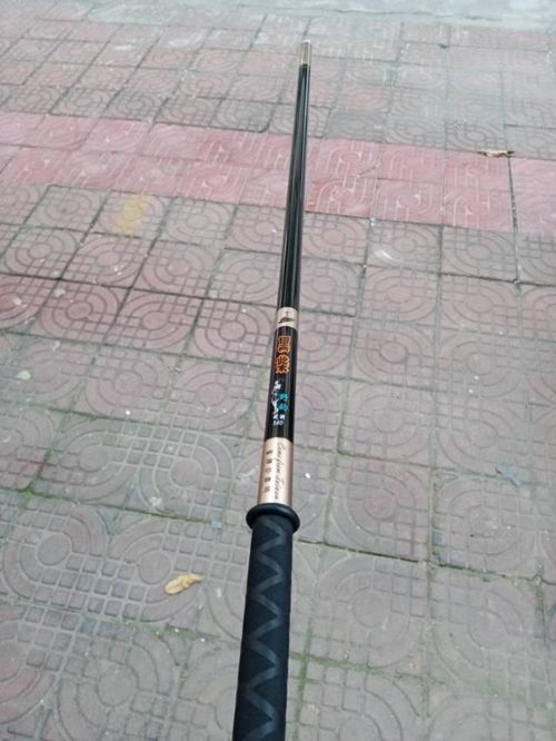 渔具投资年度报告 技术创新驱动增长，市场细分趋势显现